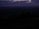 20 : 41