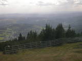 16 : 49