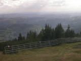 17 : 25