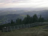 19 : 01