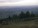 19 : 19