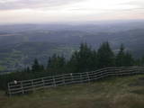 19 : 21