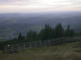 19 : 25