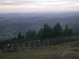 19 : 29