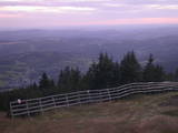 20 : 17
