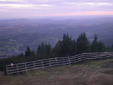 20 : 21