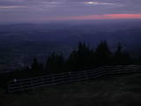 20 : 29