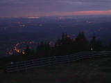 20 : 49