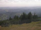 16 : 49