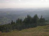 17 : 29