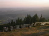 19 : 29