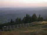 19 : 38