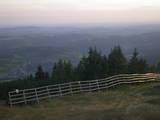 19 : 41