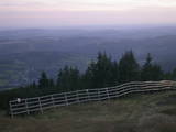 19 : 49