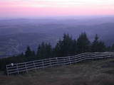 20 : 17