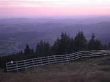 20 : 21