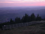 20 : 25