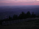 20 : 29