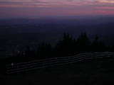 20 : 33