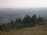 17 : 25