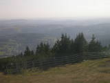 17 : 29