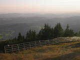 19 : 17