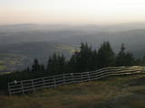 19 : 21