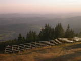 19 : 25