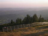 19 : 29