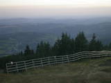 19 : 41