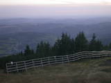 19 : 49