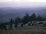 20 : 13