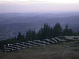 20 : 17