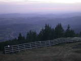 20 : 21