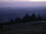 20 : 25