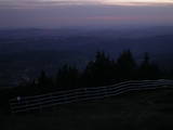20 : 29