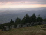 17 : 29