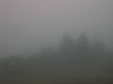 14 : 45