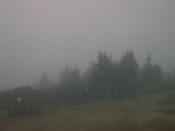 18 : 49