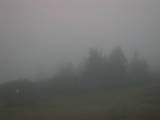 07 : 37