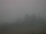 08 : 15