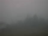 08 : 49