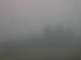 11 : 29