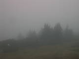 15 : 21