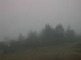 17 : 09