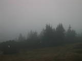 19 : 13