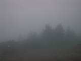 19 : 21