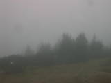 09 : 29