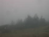 10 : 33