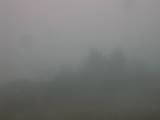 13 : 37